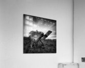St Cyrus Wreck Acrylic Print