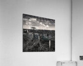 Abandoned Cottage on South Uist Acrylic Print