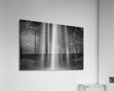 Seljalandsfoss I Acrylic Print