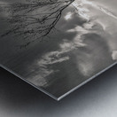 The Lonely Tree Impression metal