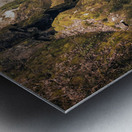 Fairy Glen Metal print