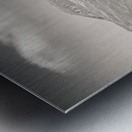 Glen Shiel Tree Impression metal