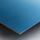 Painted Ladies Metal print