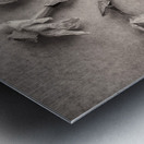 Fading Beauty Metal print