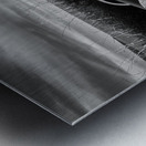 Crawton Field Roller Metal print