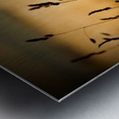 The Field Impression metal