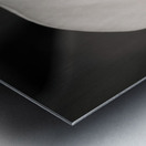 Calla Lily Bloom Impression metal