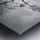 Solitary Tree Metal print