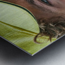 Valentino Rossi Metal print