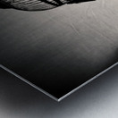 Birdcage Metal print