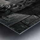 Augustus Metal print