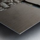 Hercules and the Centaur Nessus Impression metal