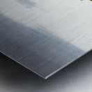 Highland Coo with a View Metal print