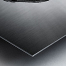 Whalebone Impression metal