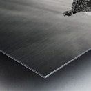 Old Cottage and Tree Metal print