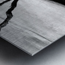 Tree and Ice Metal print