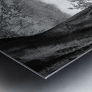 Summer Pond Metal print