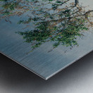 Olive Tree Metal print