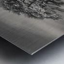 Llansteffan Cedar Tree Impression metal