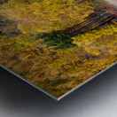 Autumn on River Tummel Impression metal