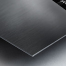 Encore and Wynn Metal print