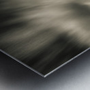 Field Tracks Metal print