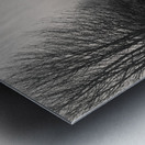 Tracks to Nowhere Metal print