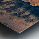 Autumn in Glenshee Metal print