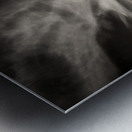 White Swan Impression metal