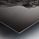 Windswept Trees Metal print