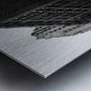 Chicago Mannequin Metal print