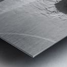 Portmeirion Style Metal print