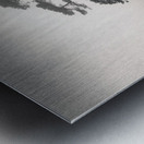 St Cyrus Tree Metal print