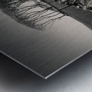 Fields End Grove Metal print