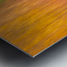 Autumn Pastels Metal print