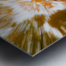 Autumn Explosion Metal print