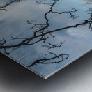 Edinburgh Castle from Princess St Gardens Metal print