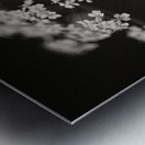 Woodland Study 2 Metal print