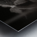 Woodland Study 9 Metal print