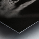 Woodland Study 7 Impression metal