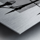 Chicago Lights Metal print