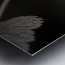 Woodland Study 10 Impression metal