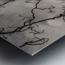 Edinburgh Castle in Monochrome Metal print