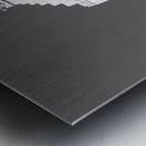 Century Tower Metal print