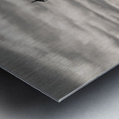 Chicago Harbor Lighthouse Metal print