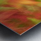 Autumn Collage Metal print