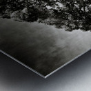 Roman Forum Trees Impression metal