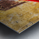 Lady with Red Scarf Metal print