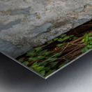 Little Children on a Bicycle Metal print