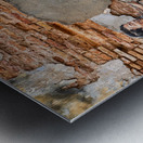 Boy With Dinosaur Impression metal